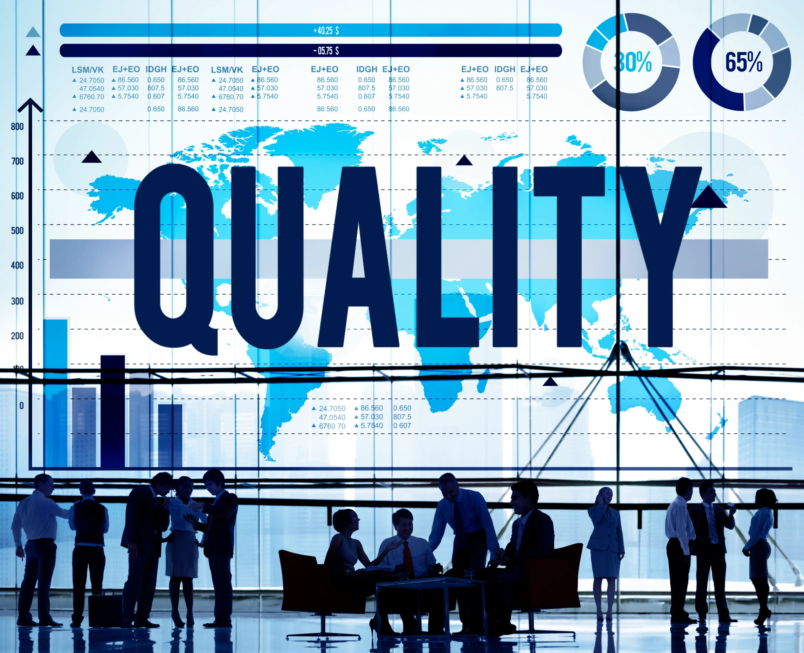 TRAINING BECOMING AN EFFECTIVE INTERNAL QUALITY AUDITOR