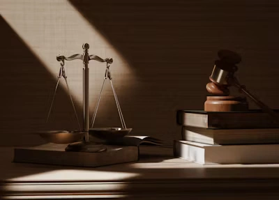 TRAINING LEGAL AUDIT AND LEGAL OPINION DRAFTING
