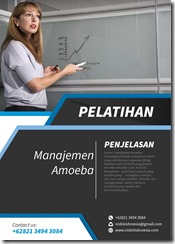training pengenalan manajemen amoeba murah