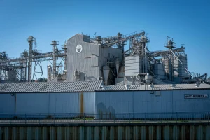 training pemulihan lingkungan tambang