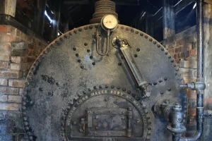 training steam system management