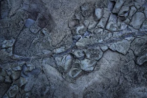 training metode penambangan quarry