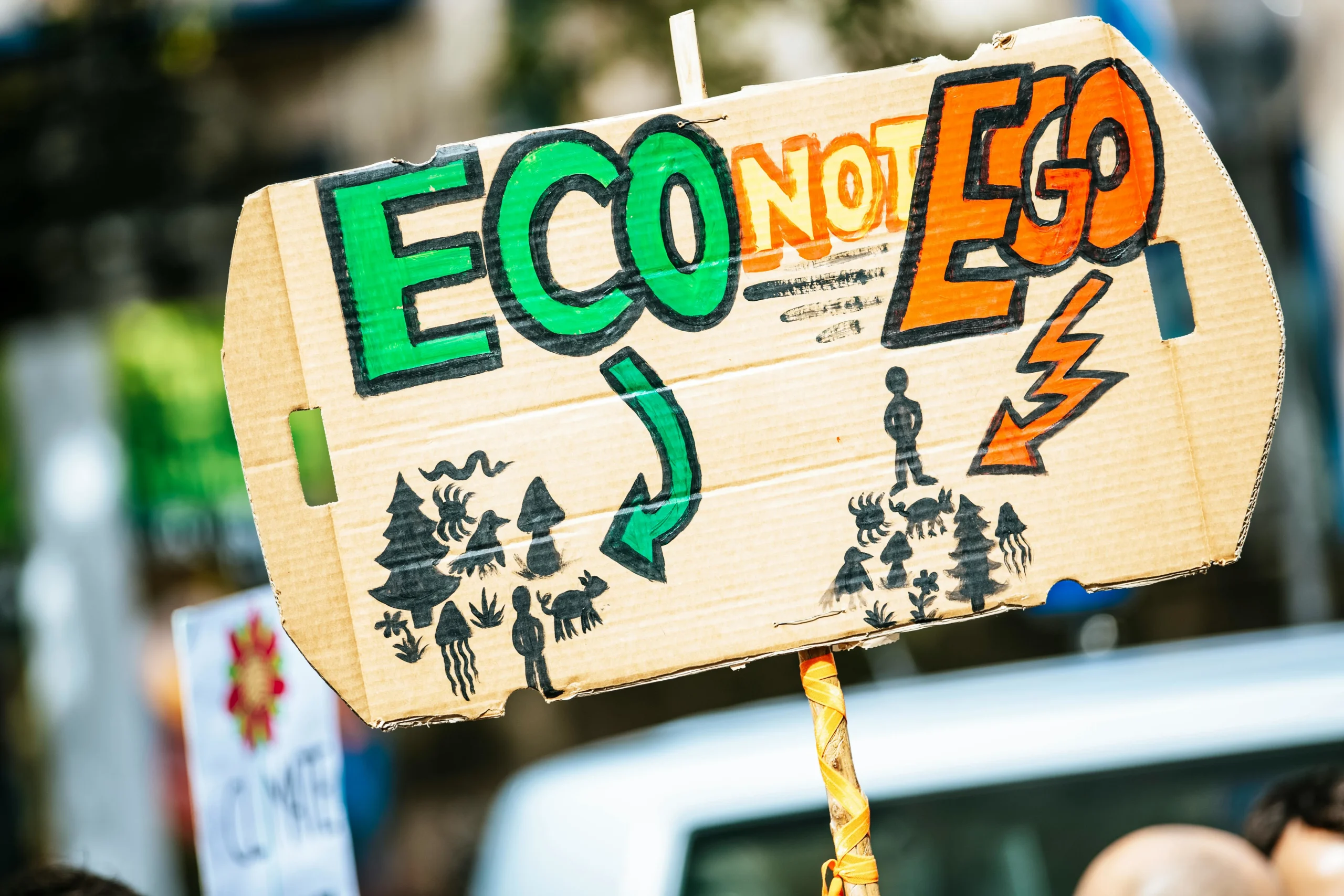 training enviromental social gobernance strategy