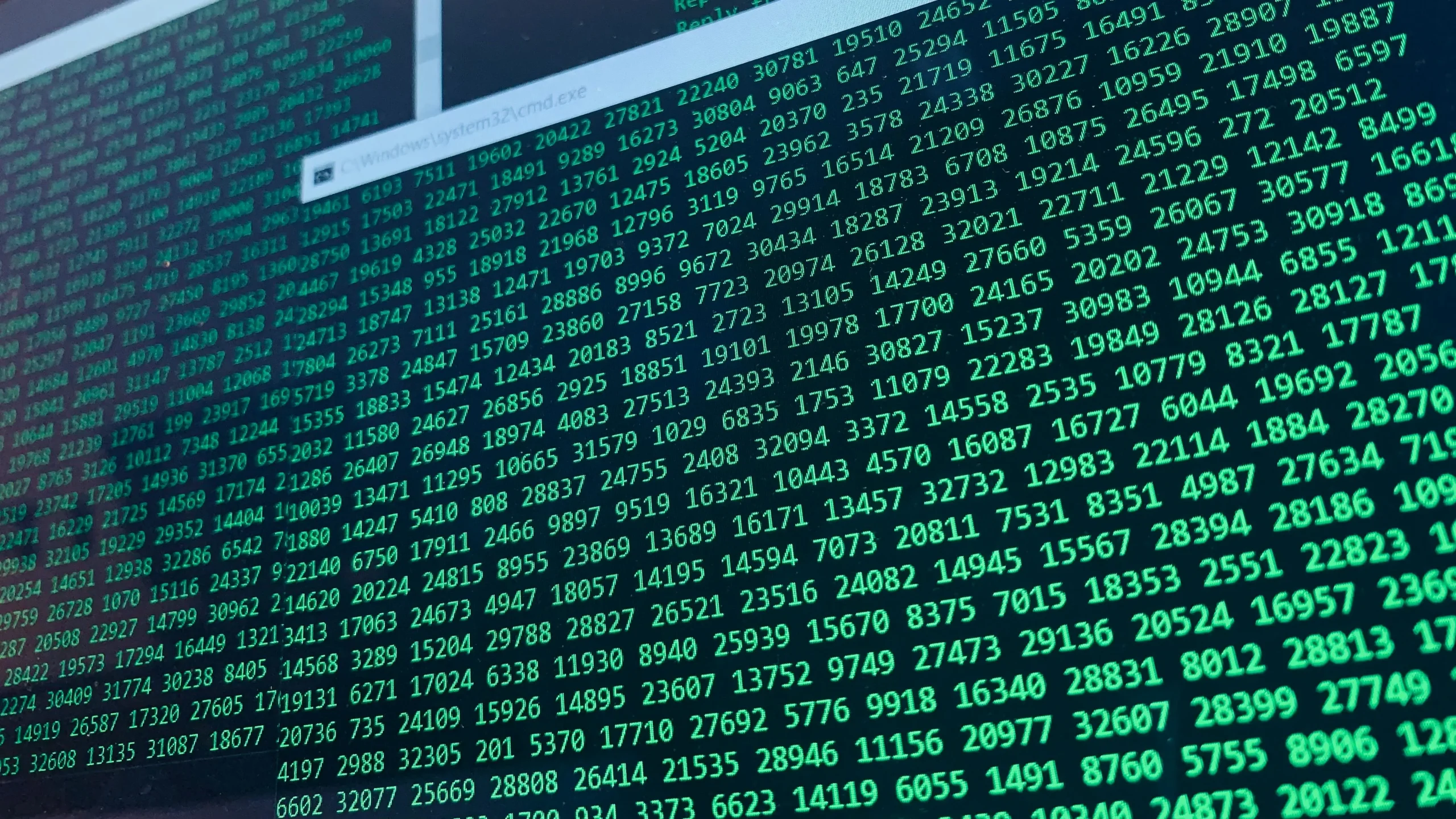 training data-driven decision making